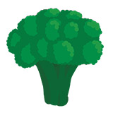 TCicon-food-broccoli
