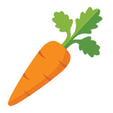 TCicon-food-carrot